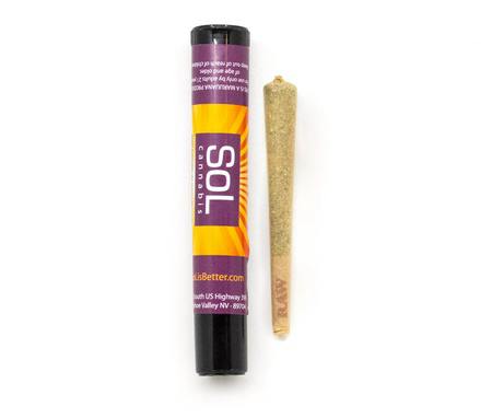 Sol | Purple Urkle | Pre Roll | 1G