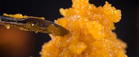 Possum Town Honey Child 1g Wax