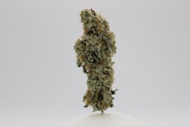 Dragon Fire Farms Canna Whoop A$$ 3.5G Flower
