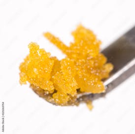 Lion's Paw Jambalaya 1g Concentrate