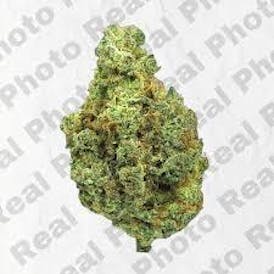 Kindlife Blueberry Sugah 7g Flower