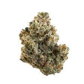 Kind Life Cap Junky 12ct *.29g Dogwalkers