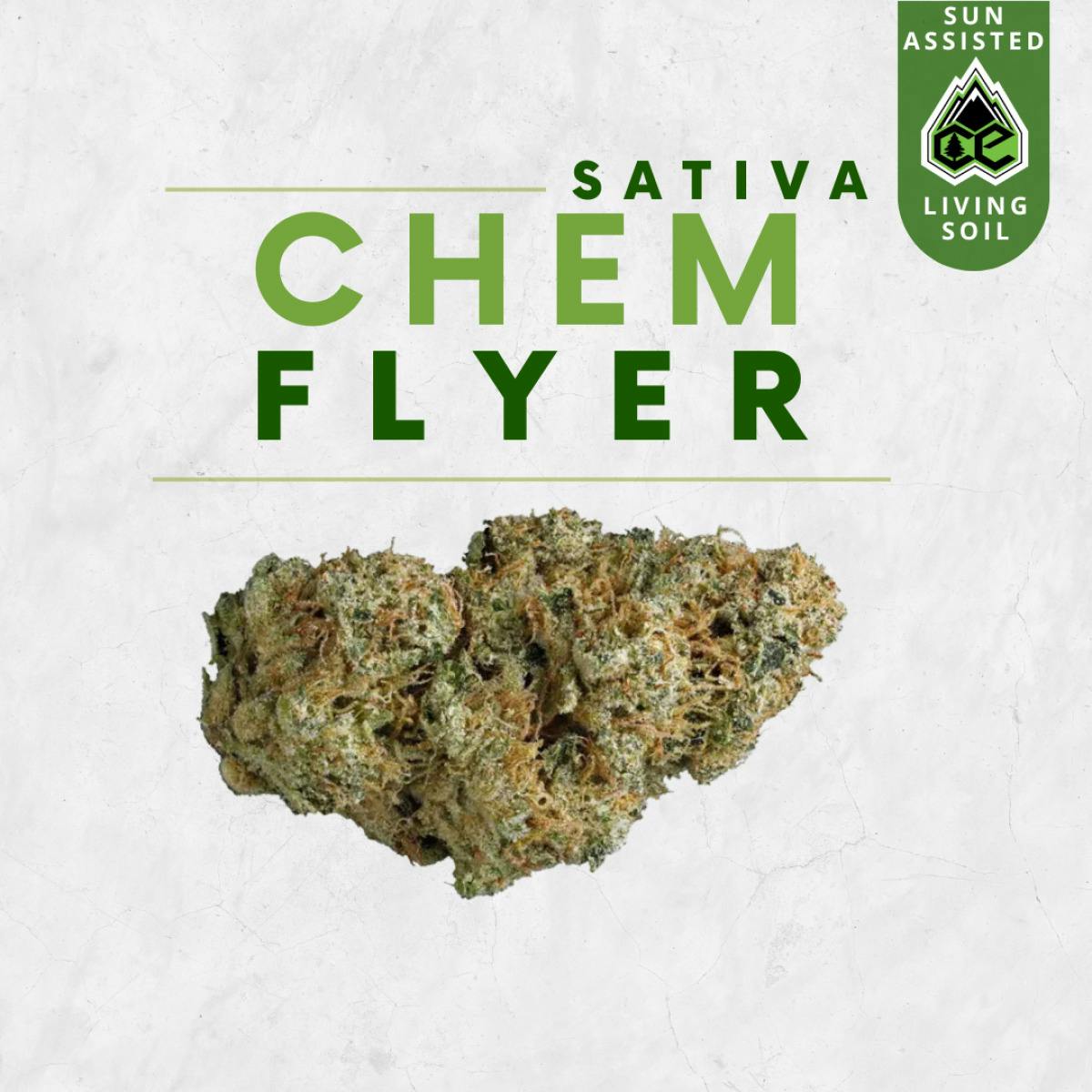 Chem Flyer