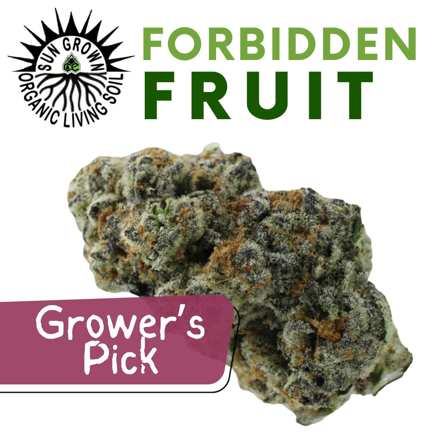 Flower (Bulk) | Forbidden Fruit