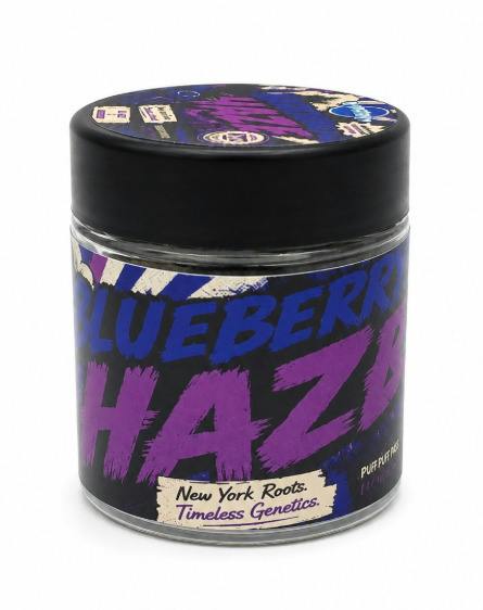 Synergy | BlueBerry Haze | Flower | Sativa