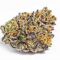 Fresh Canna - Colada - Infused Flower