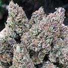 Cherry Dream Punch
