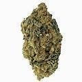 Fresh Canna- Candy Punch -Infused Flower