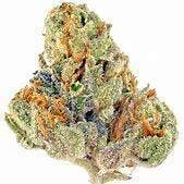 Fresh Canna- Bubble Gum Infused Flower