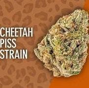 Forbidden Cheetah Piss