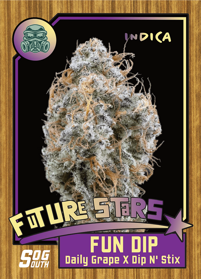 FUN DIP 3.5g