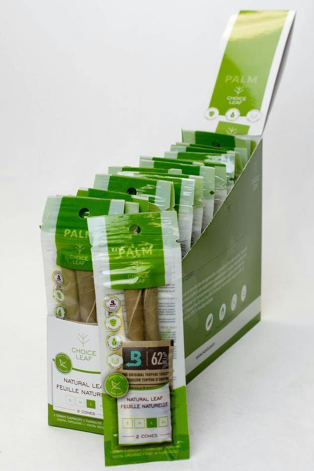 Large Palm Cones - 2 pack