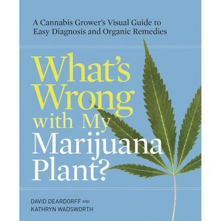 Whats Wrong With My Plant