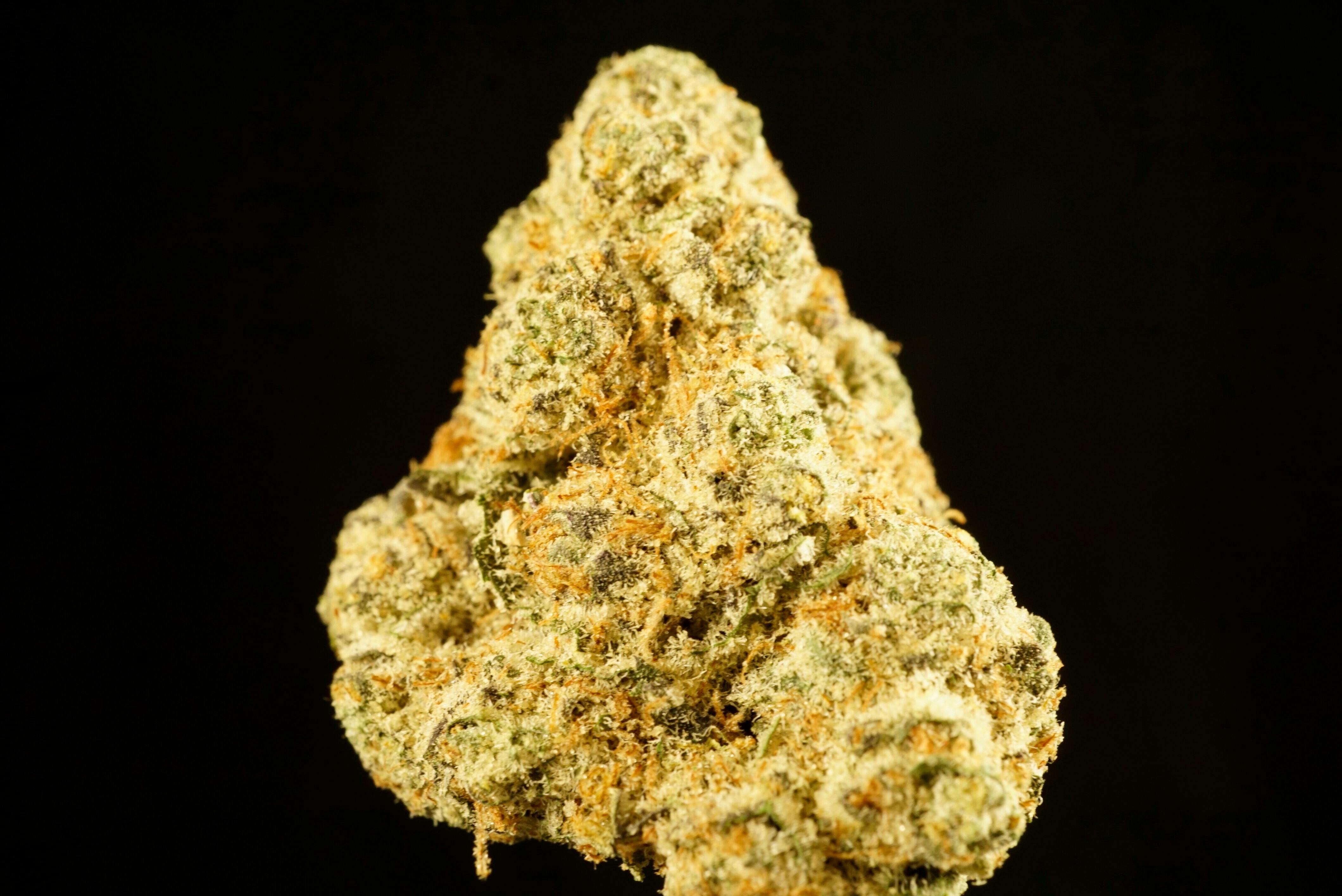 Truffaloha