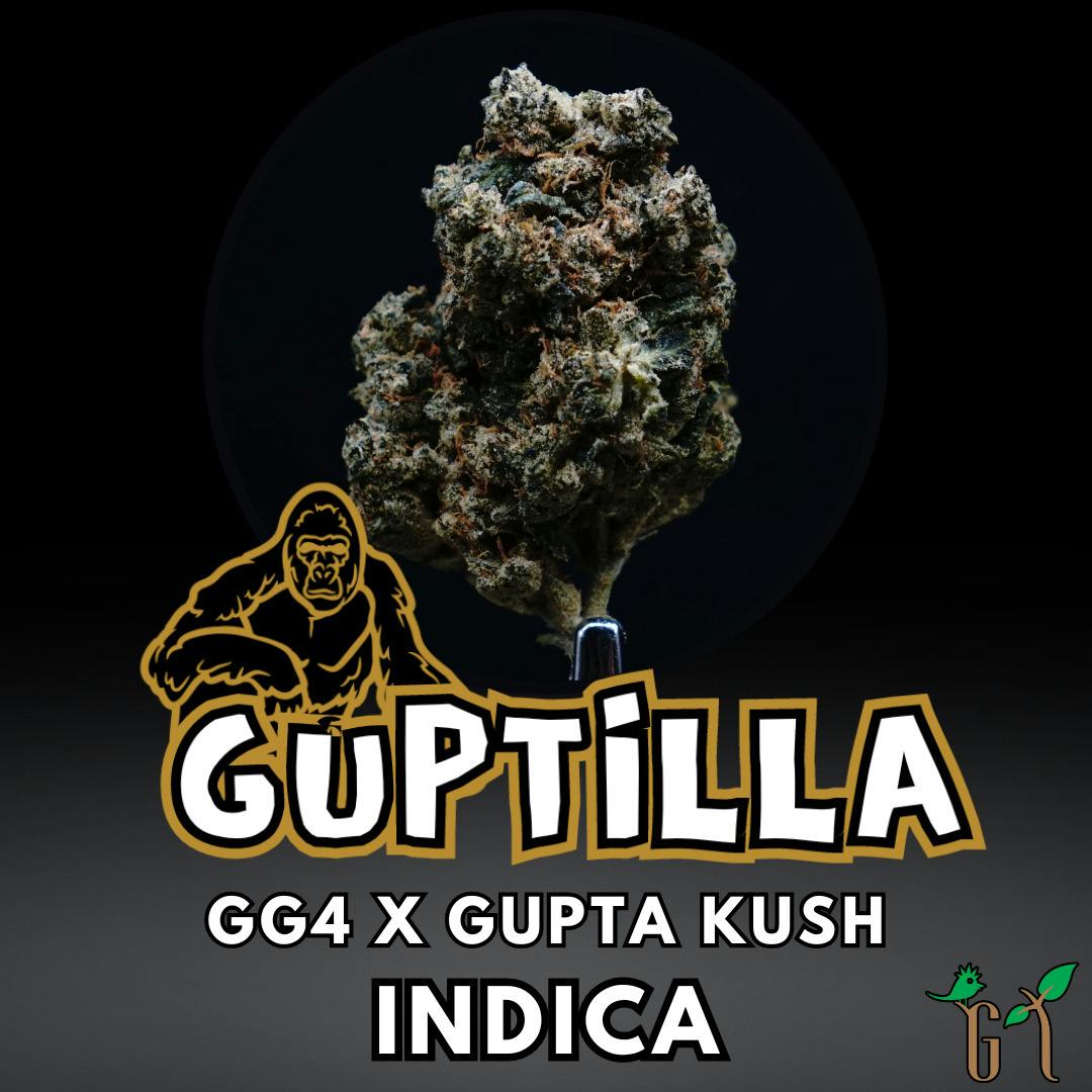 Flower - Guptilla - Tier 2 cannabis product