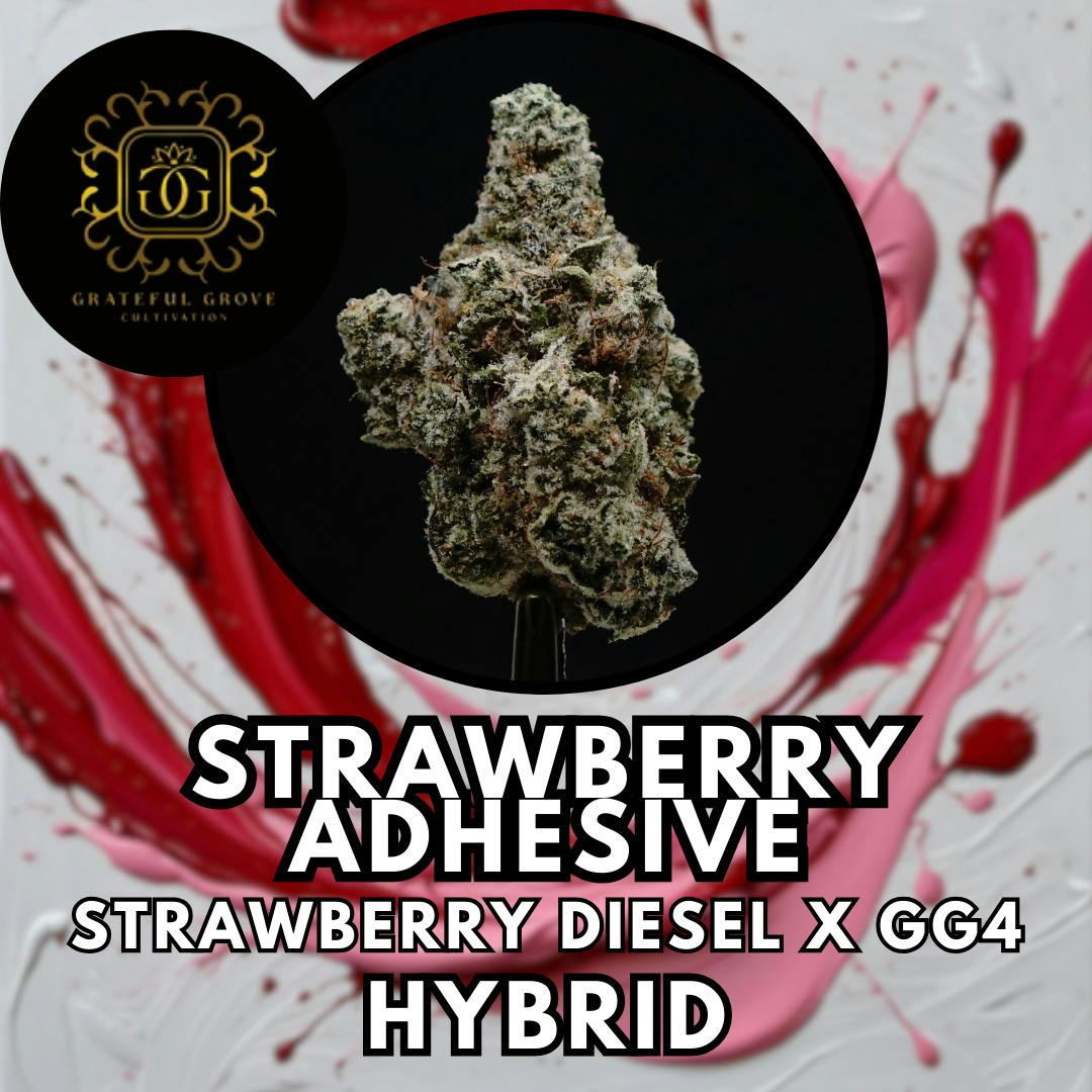 Flower - Grateful Grove - Strawberry Adhesive - Gold Shelf