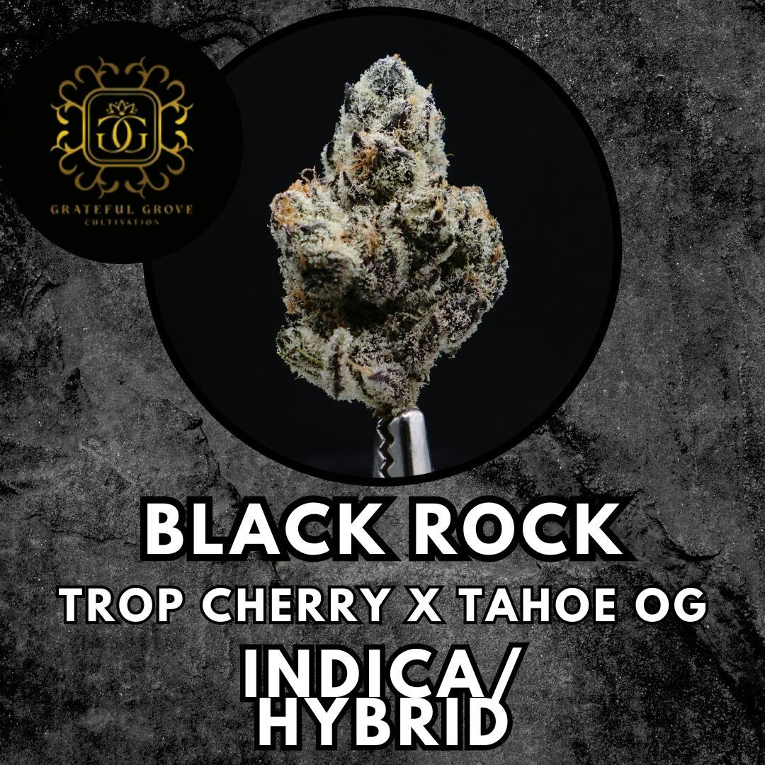 Flower - Grateful Grove - Black Rock - Gold Shelf