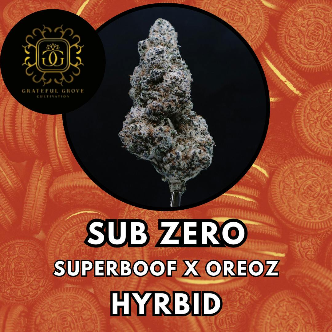 Flower - Grateful Grove - Sub Zero - Gold Shelf