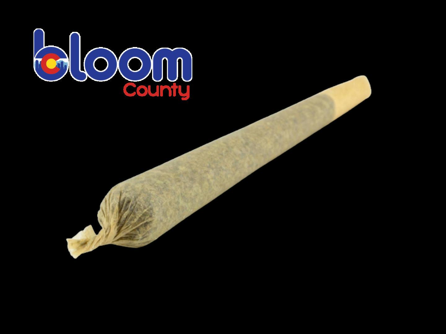 Bloom County - Preroll - First Class Gas (S) - 1g