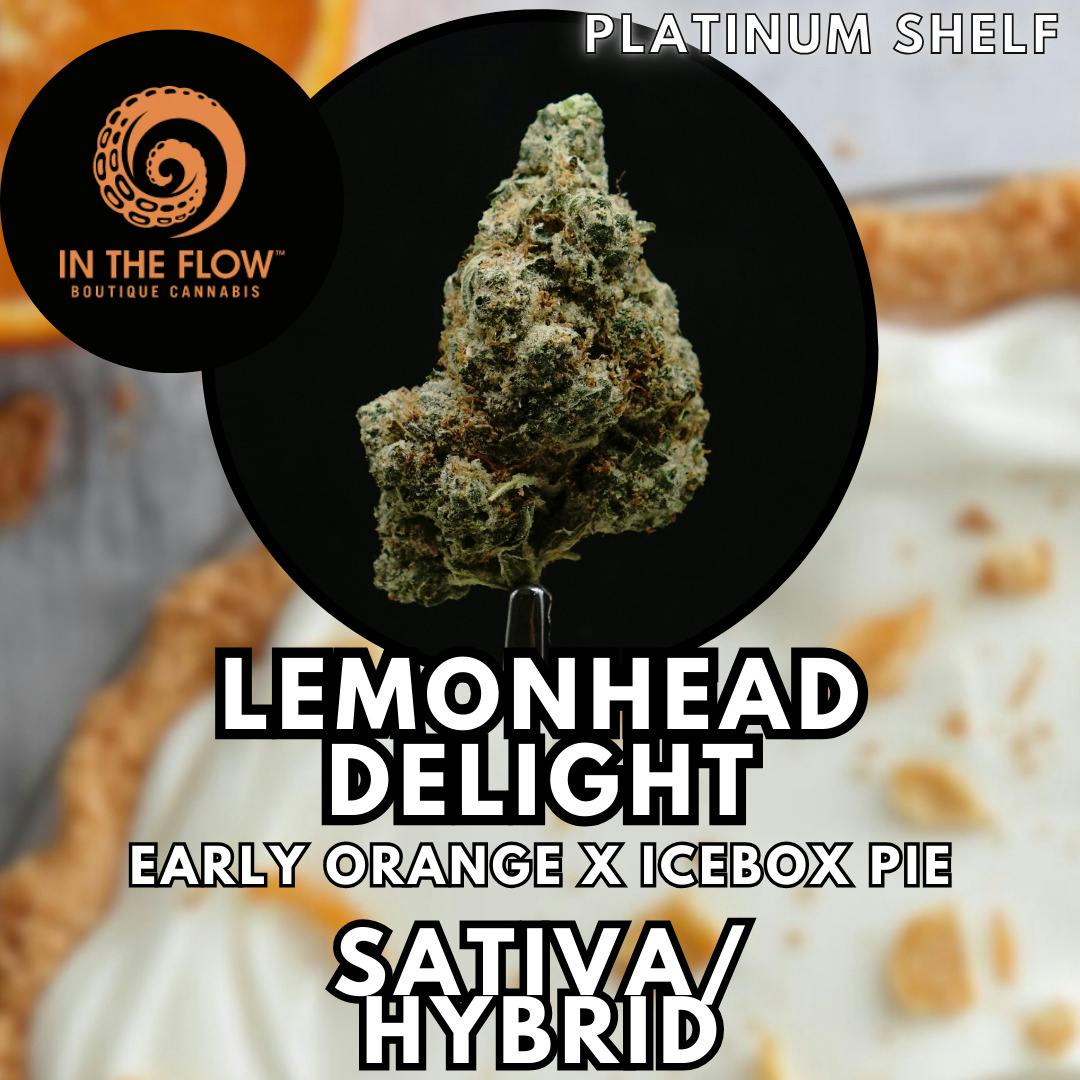Flower - In The Flow - Lemonhead Delight (SH) - Platinum Shelf