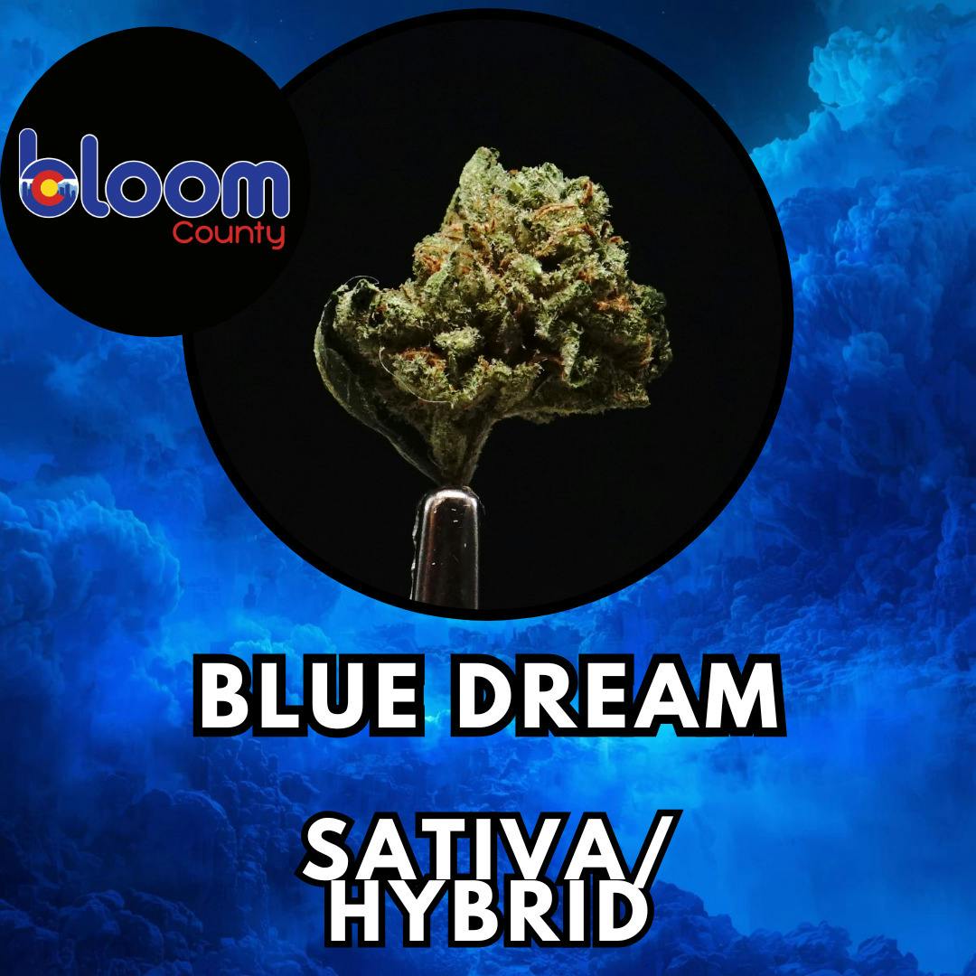 Flower - Bloom County - Blue Dream - Special Shelf