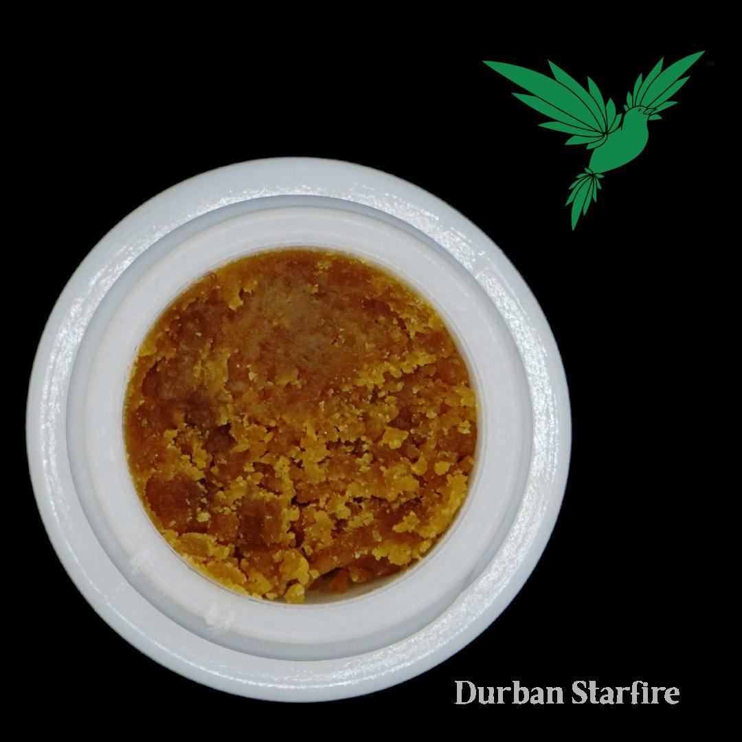 Green Treets 4g Focus Bucket - Durban Starfire Sugar Wax 4g
