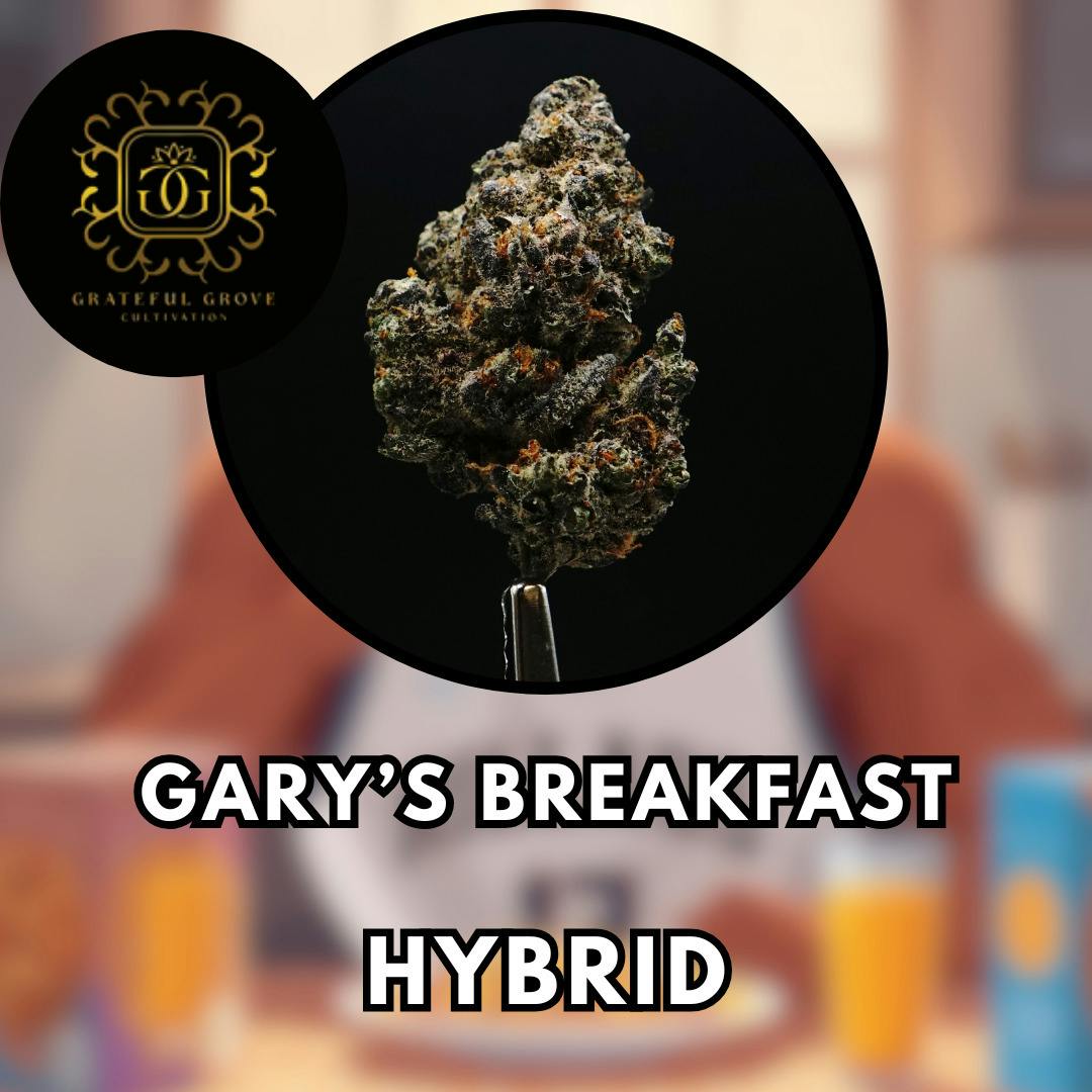 Flower - Grateful Grove - Gary's Breakfast - Gold Shelf