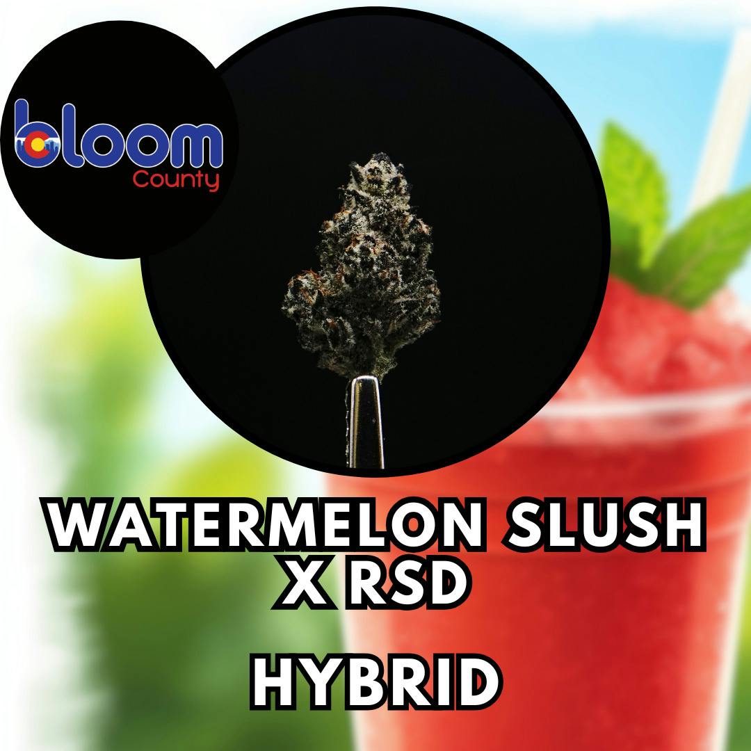 Flower - Bloom County - Watermelon Slush x RSD - Special Shelf