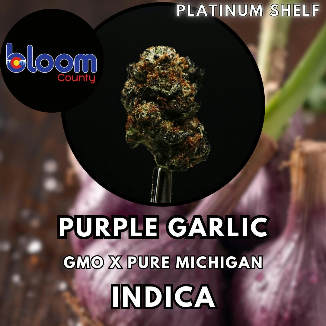 Flower - Bloom County - Purple Garlic - Platinum Shelf