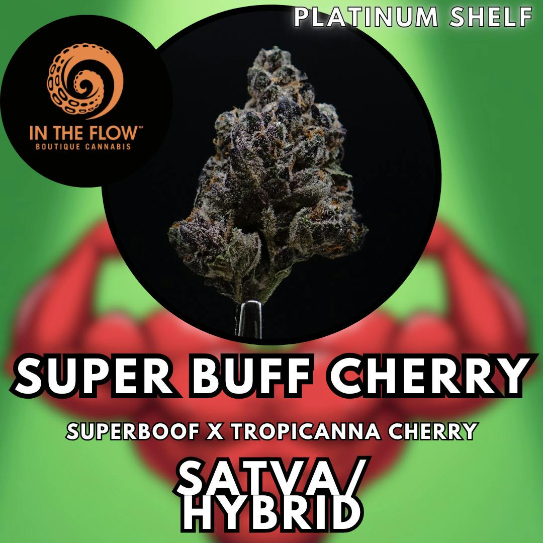 Flower - In The Flow - Super Buff Cherry (H) - Platinum Shelf