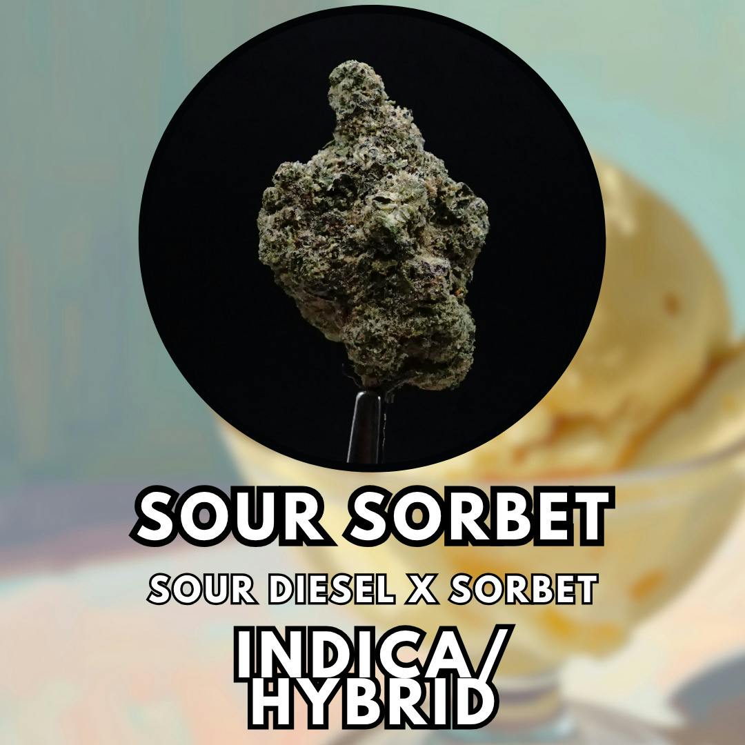 Flower - Summit - Sour Sorbet - Gold Shelf