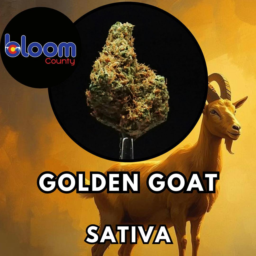 Flower - Bloom County - Golden Goat - Gold Shelf