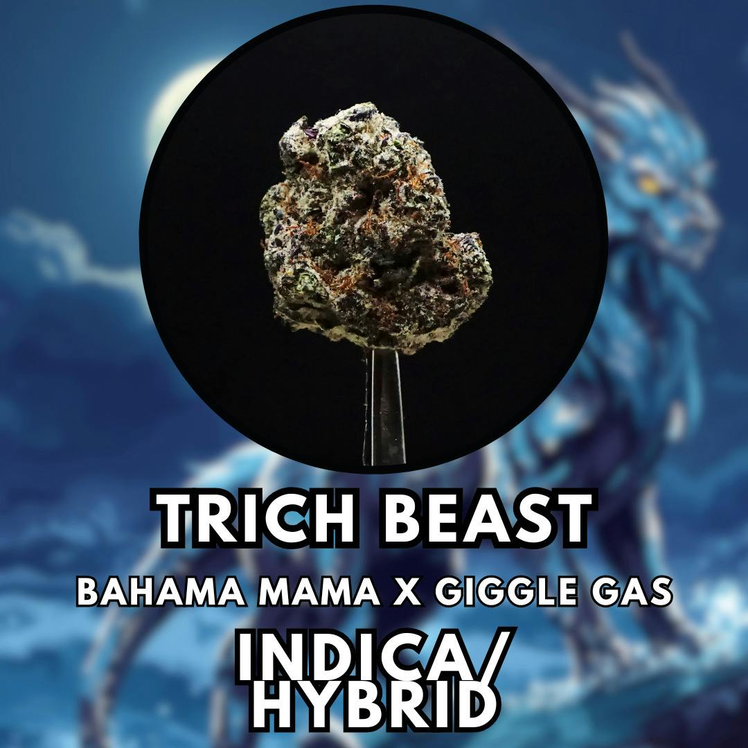 Flower - Summit - Trich Beast - Gold Shelf