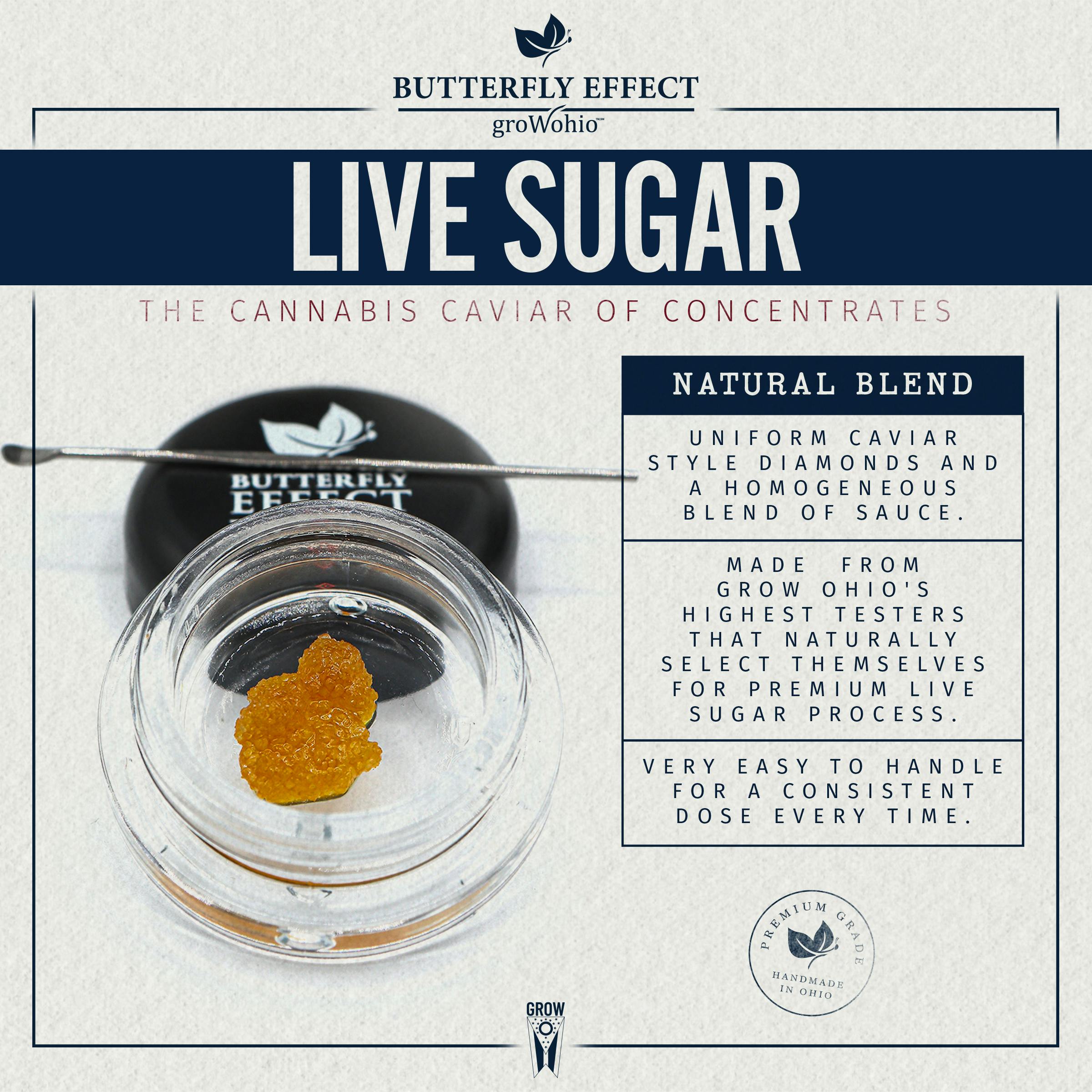 CL | Live Sugar