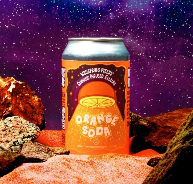 Orange Soda | Drinks 55mg 1pk 12oz.