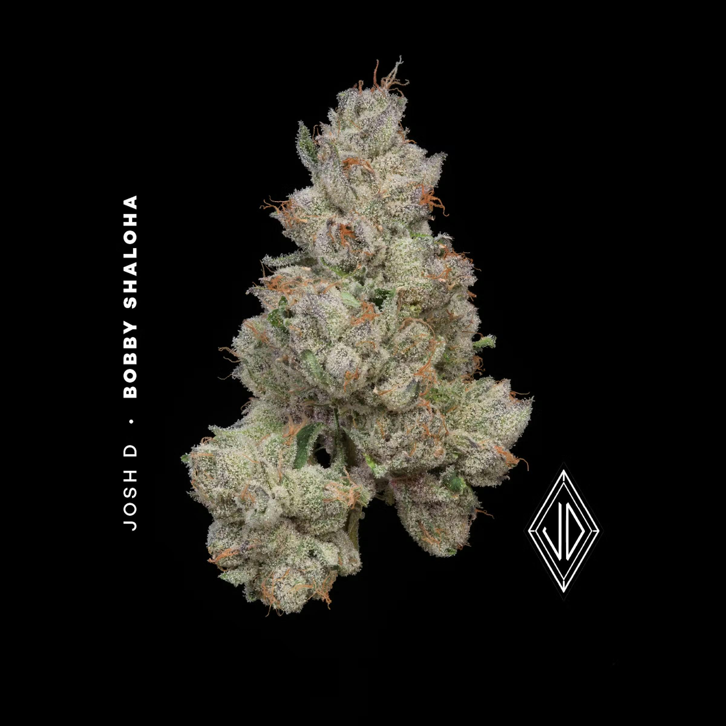 Bobby Shaloha | Flower 1