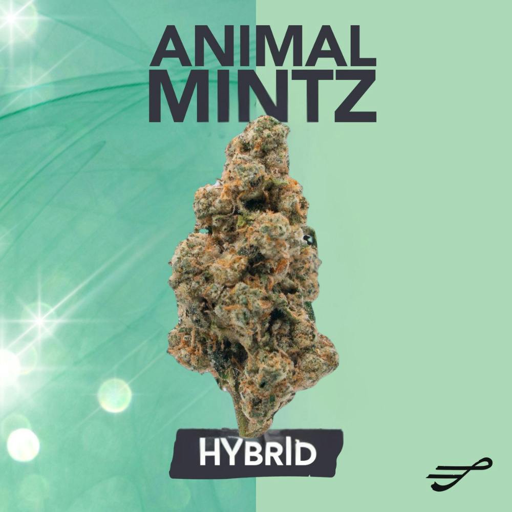 Animal Mintz | Flower