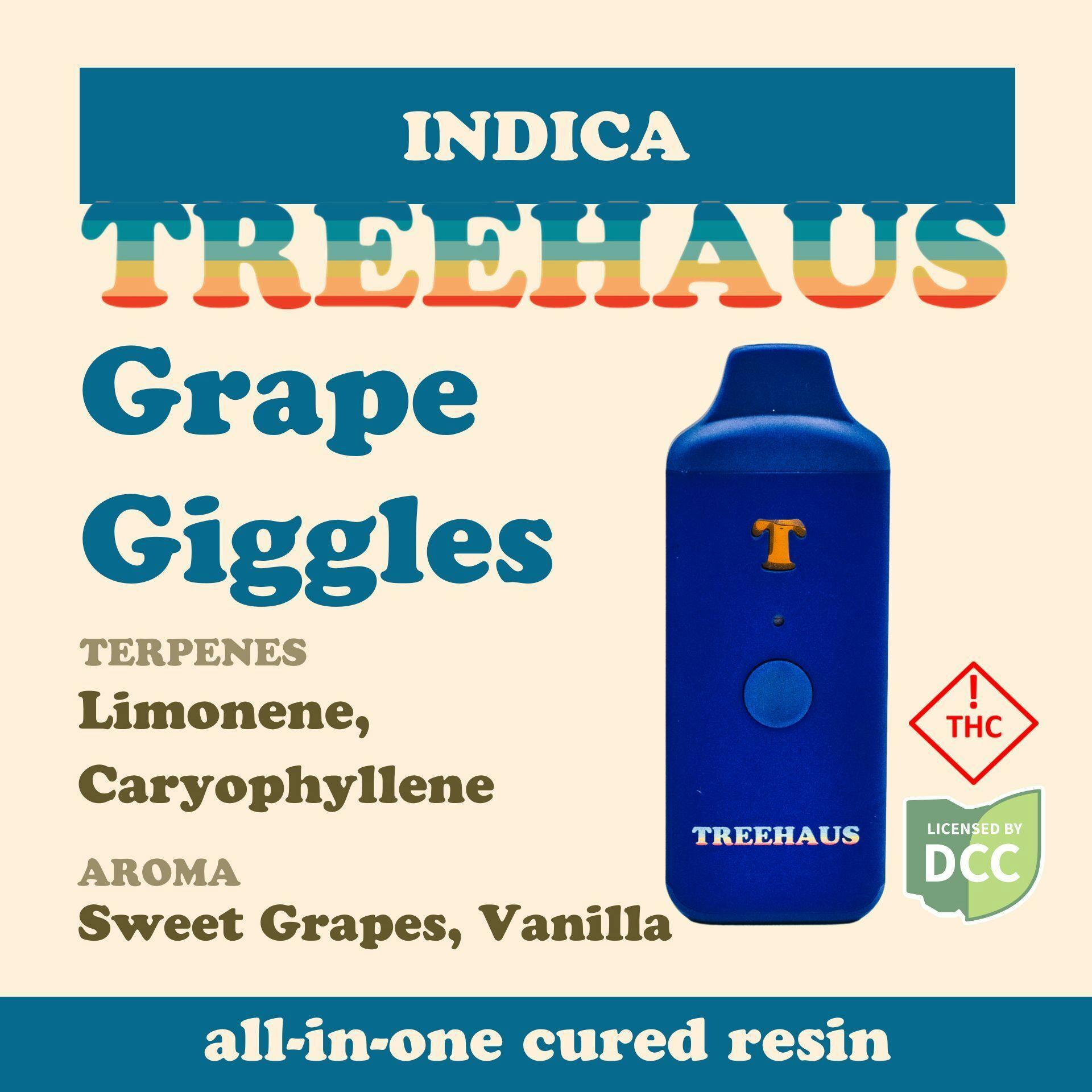Grape Giggles | Cured Resin Disposable