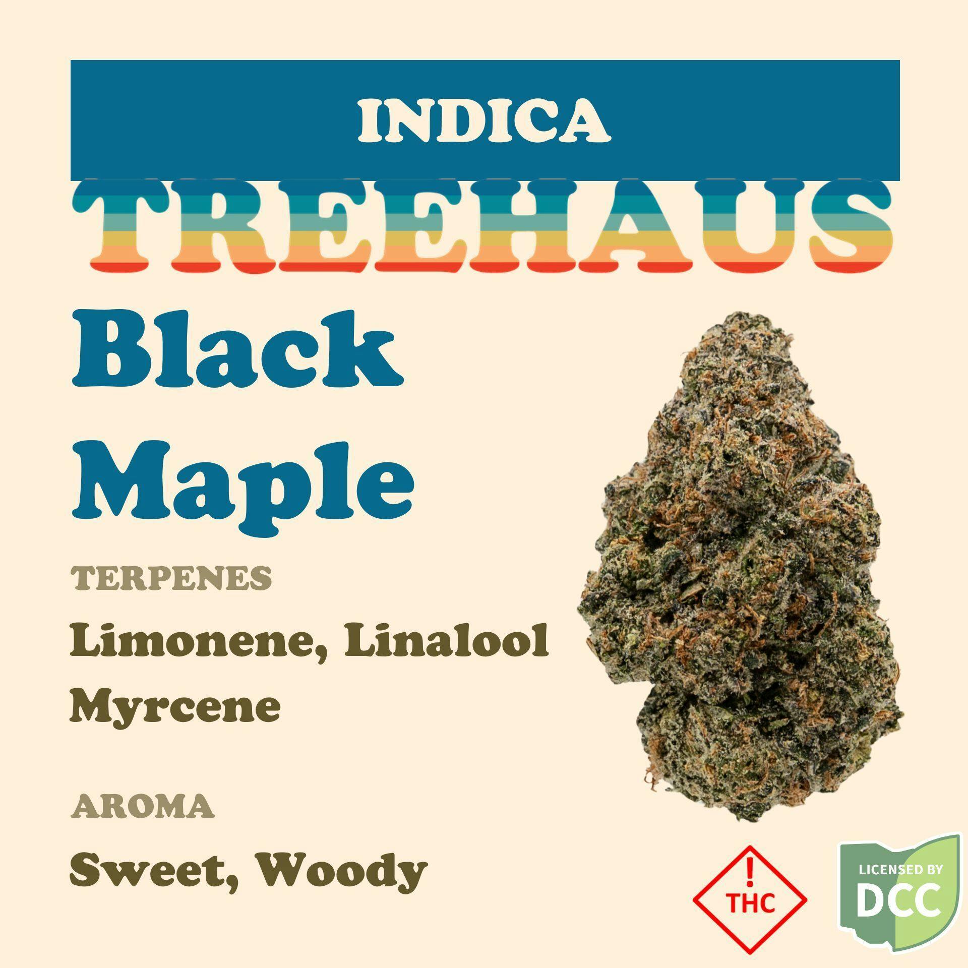 Black Maple | Flower