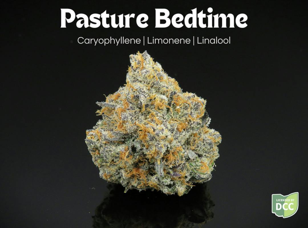 Pasture Bedtime | Flower