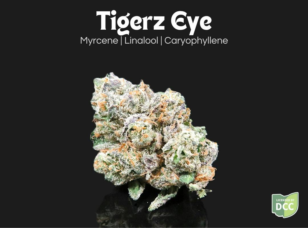 Tigerz Eye | Flower