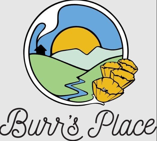 Burr's Place: Gelato Kush