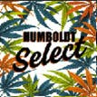 HUMBOLDT SELECT: Gelato 41