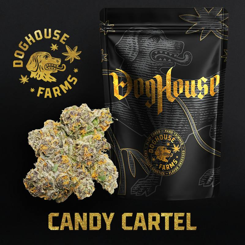 Dog House | Candy Cartel