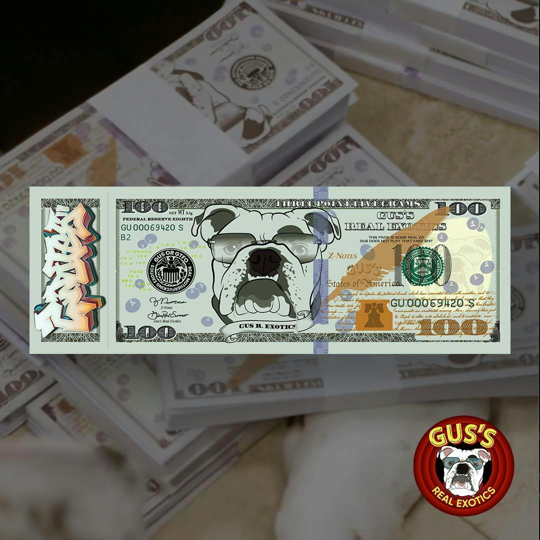 Gus's Real Exotics - 1.3g Glass-Tip Preroll - Znote$