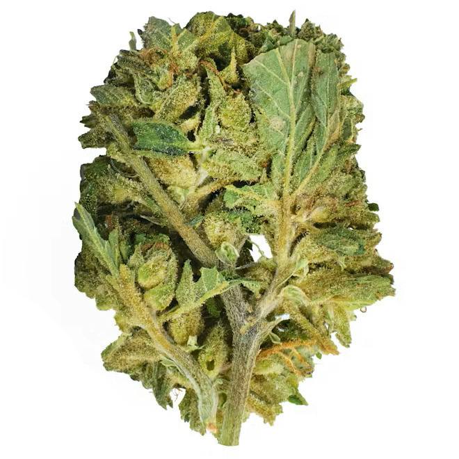 OG Farms - Forbidden Fruit