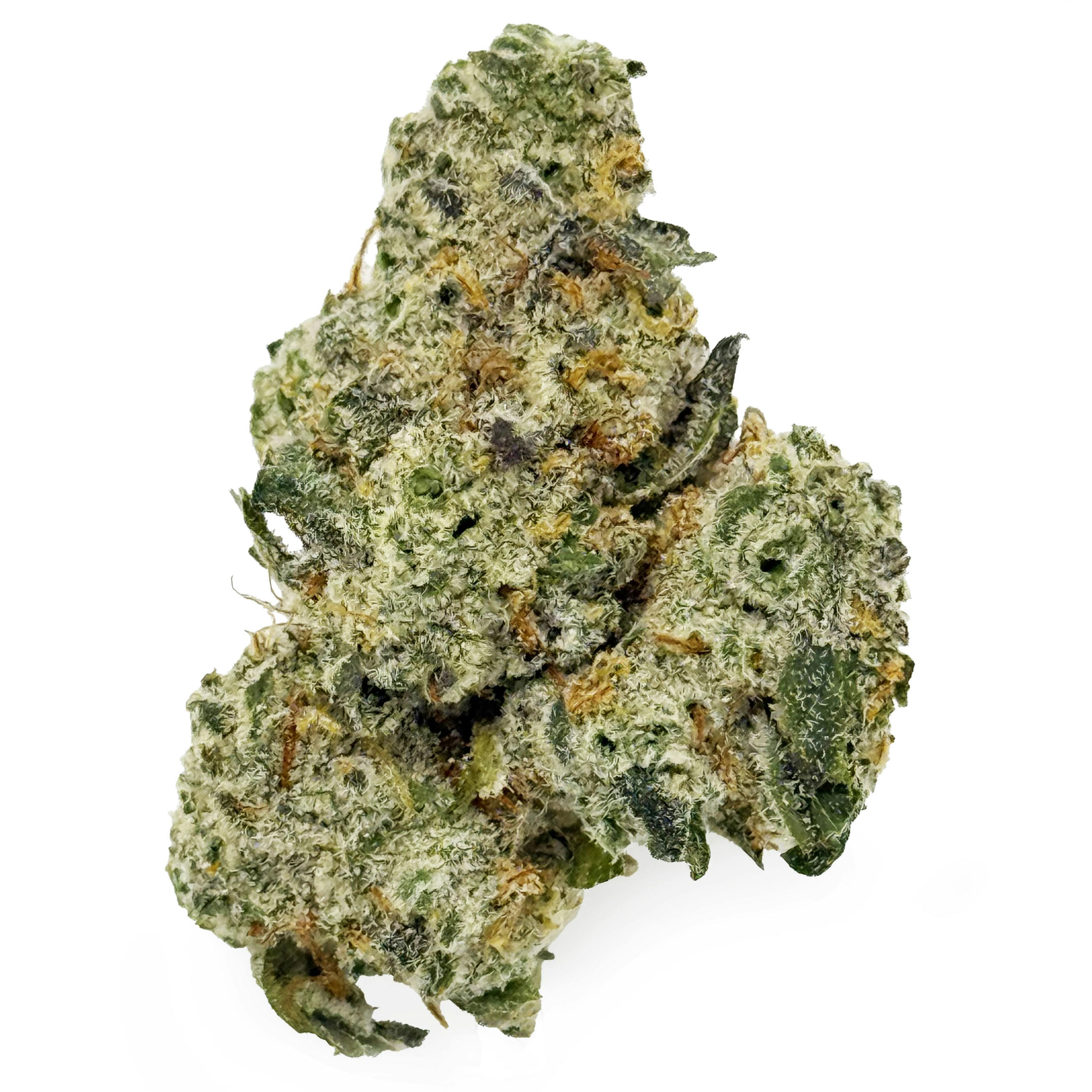 Six Labs - Garlic Crusher