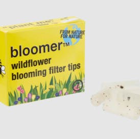 Bloomers Wax Tips -7 piece