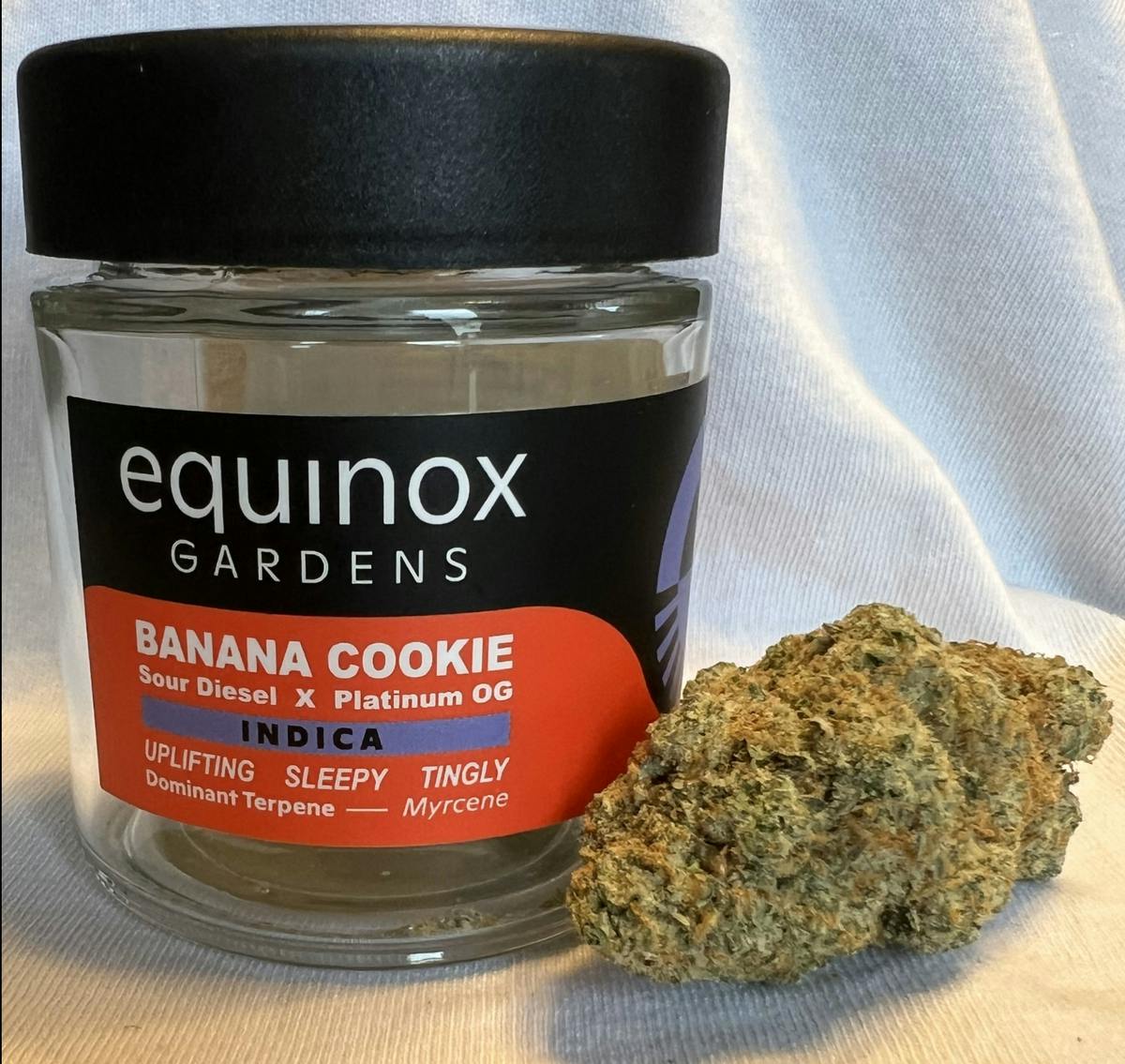 Banana Cookie Small Buds 7g - Equinox