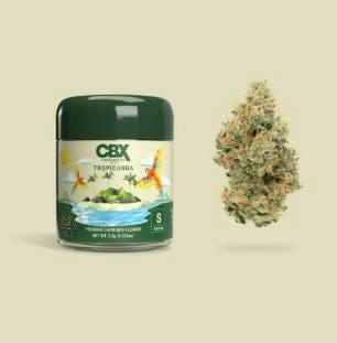 CBX - 2g Tropicanna Pre-Roll Tin